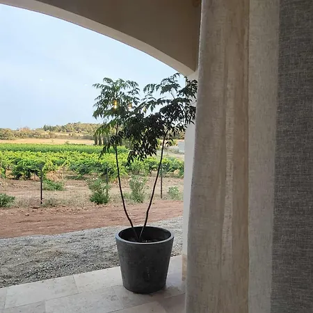 Neuve Calme - Piscine Privee - Vue Sur Les Vignes