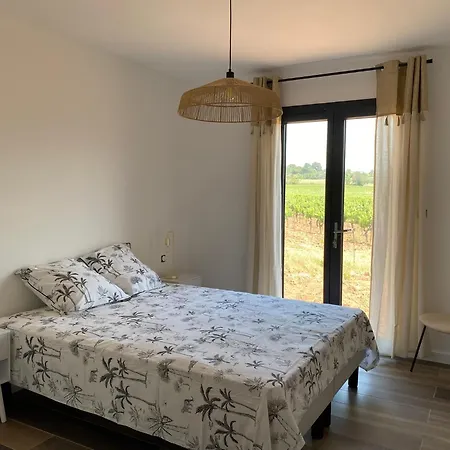 ヴィラ Neuve Calme - Piscine Privee - Vue Sur Les Vignes Roquecourbe-Minervois
