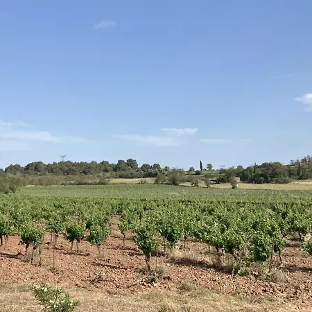 Neuve Calme - Piscine Privee - Vue Sur Les Vignes Vila Roquecourbe-Minervois
