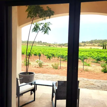 Neuve Calme - Piscine Privee - Vue Sur Les Vignes * Roquecourbe-Minervois