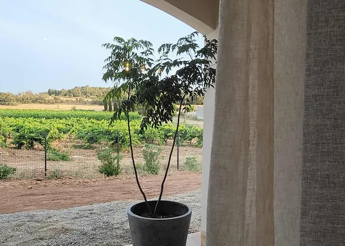 Neuve Calme - Piscine Privee - Vue Sur Les Vignes
