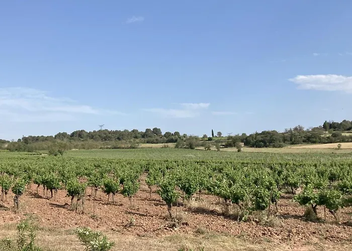 Neuve Calme - Piscine Privee - Vue Sur Les Vignes Вилла Roquecourbe-Minervois