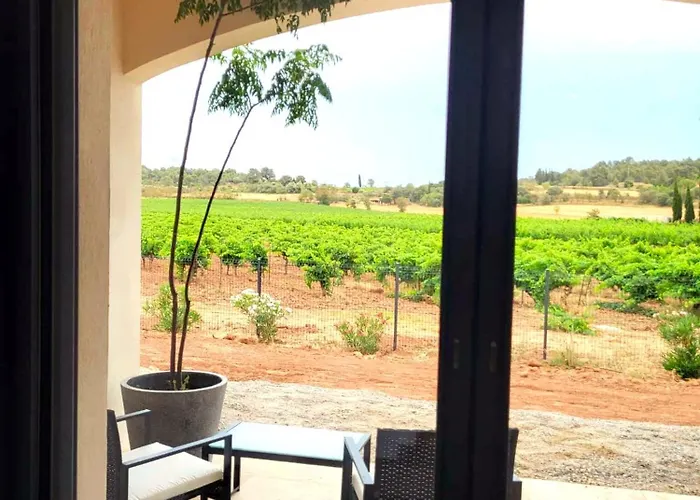 Neuve Calme - Piscine Privee - Vue Sur Les Vignes * Roquecourbe-Minervois
